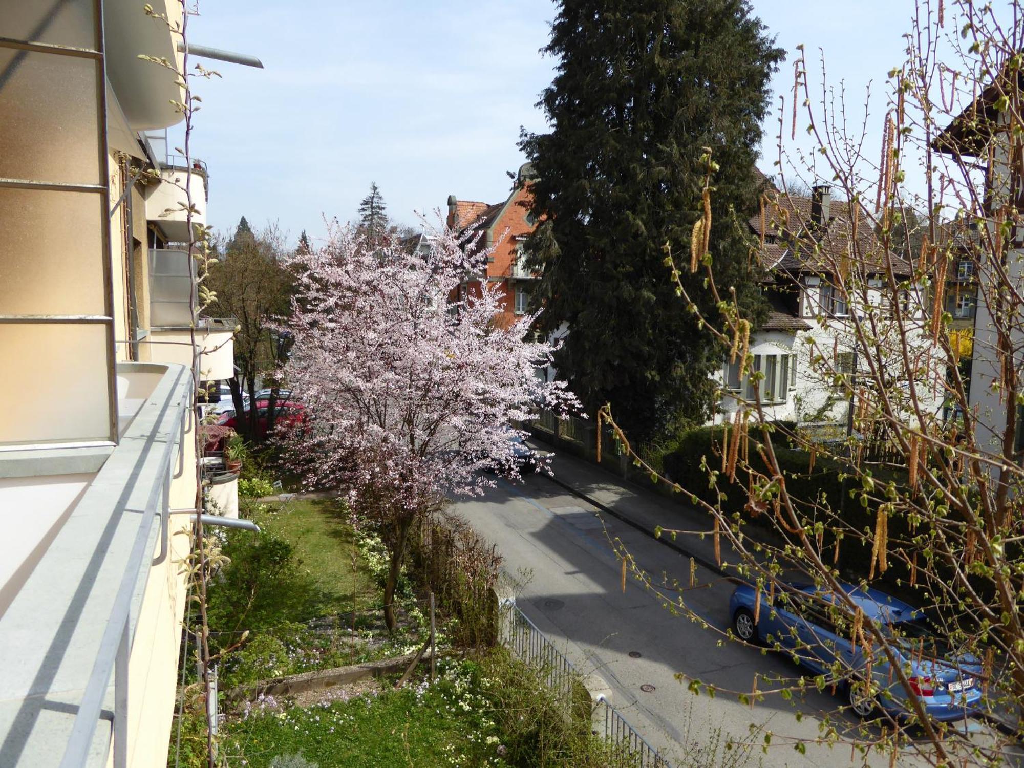 Maison Mosgenstein Bern Exterior foto